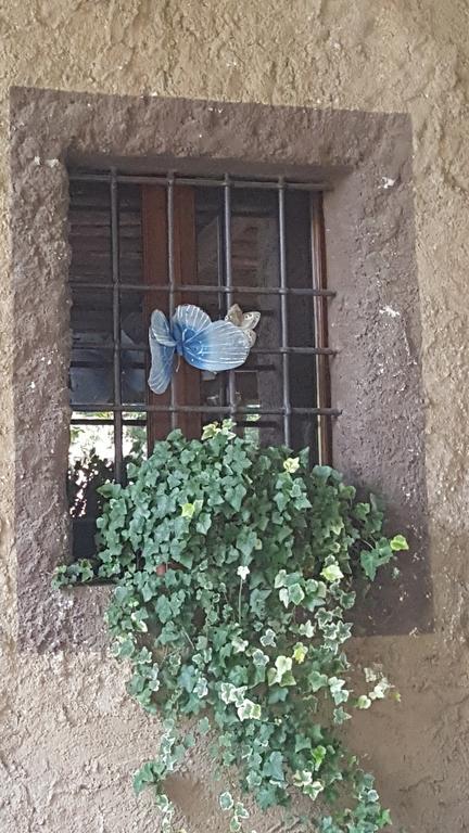 فولتا مانتوفانا B&B Corte Bezzetti المظهر الخارجي الصورة